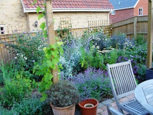 Border planting